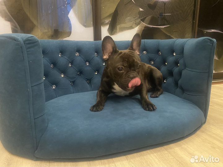 Лежанка диван для собак