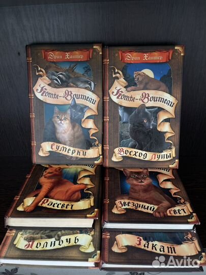 2 цикл коты воители