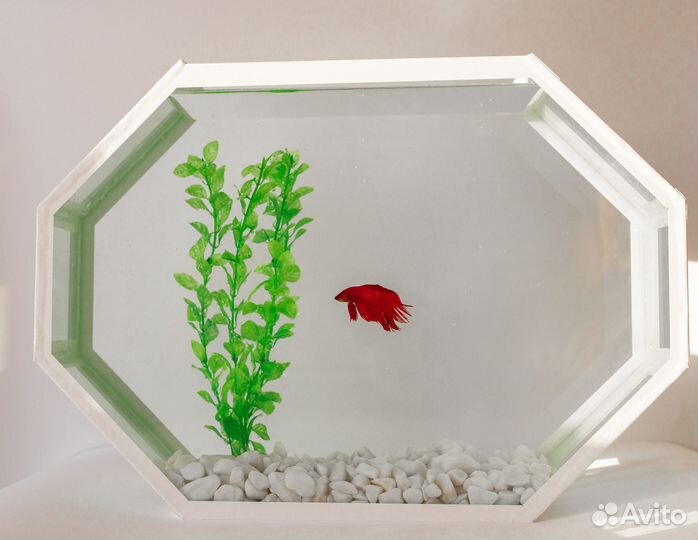 Аквариум для рыбок
