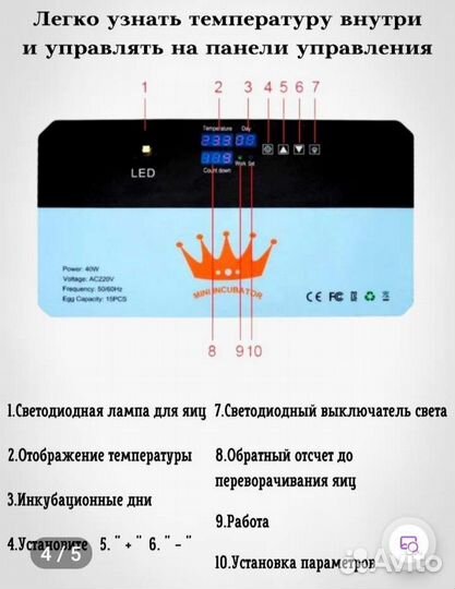 Инкубатор для яиц