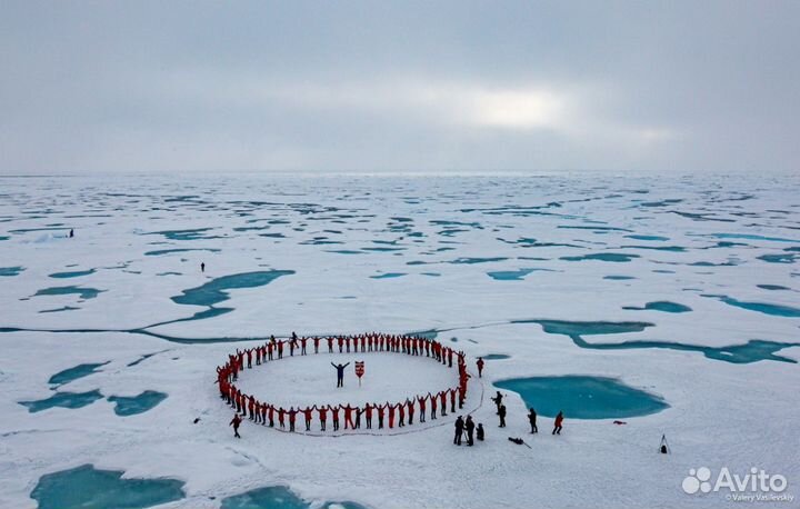 Миниатюра Arma Models AM35014 1/350