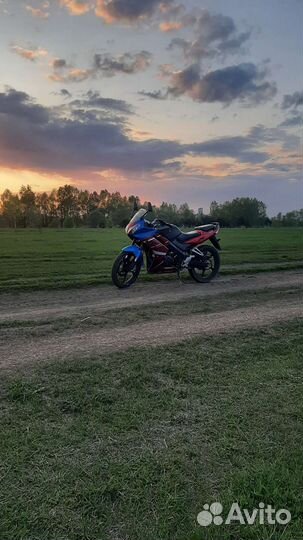 Racer skyway 200