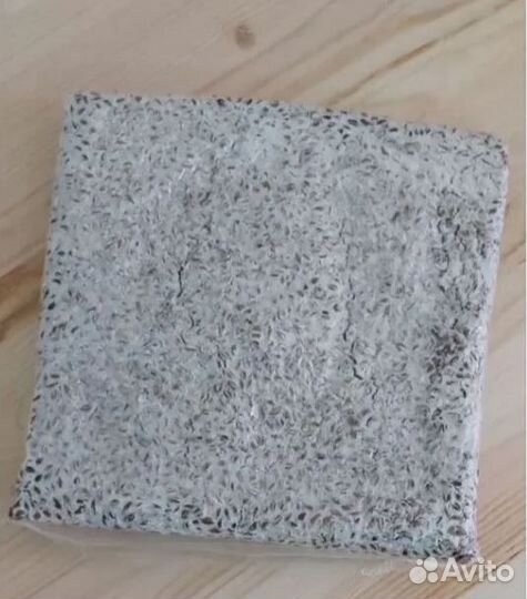 Мицелий вешенки