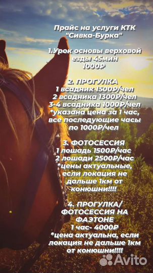 Конные прогулки