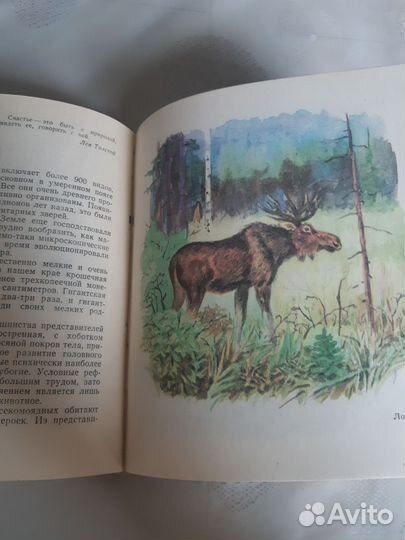 Книги о природе Дальнего Востока