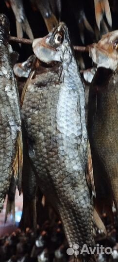 Вяленая рыбка