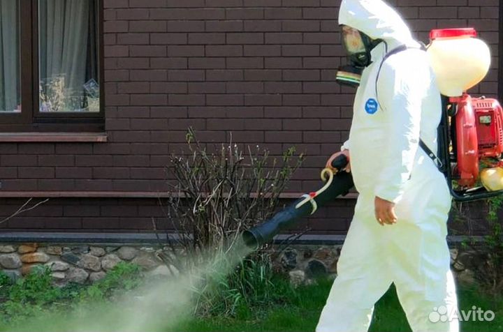 Уничтожение клопов тараканов грызунов блох клещей