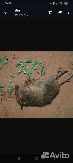 Уничтожение крыс, мышей, плесени, клопов