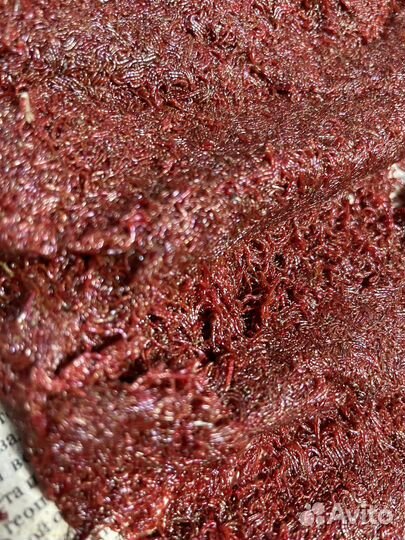 Мотыль Лиман