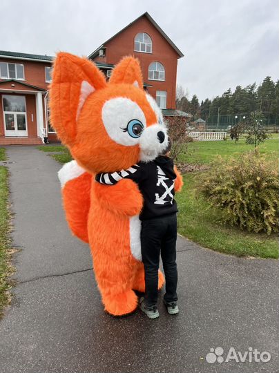 Поздравление от Лисёнка Бинго Ростовые куклы