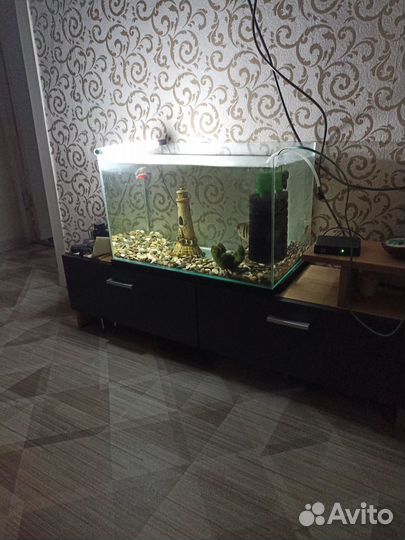 Аквариум с рыбками и все принадлежности