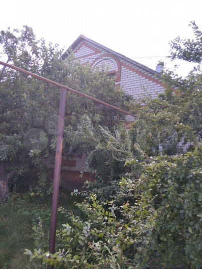 Дом 100 м² на участке 62 сот.