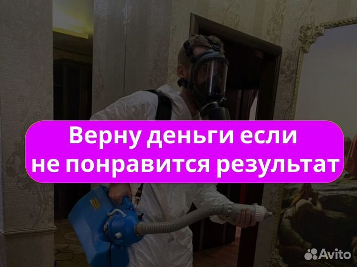 Уничтожение запаха плесени, удаление грибка