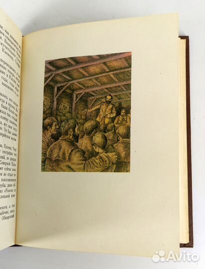 Счастливый кит. Дальцева. Пламенные революционеры