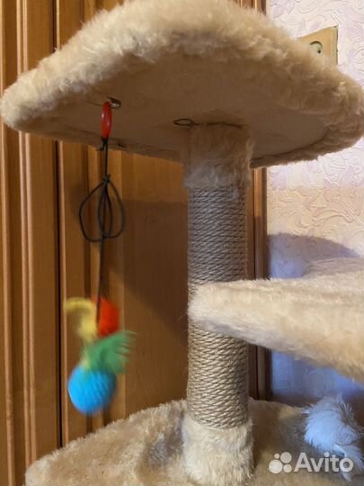 Когтеточка домик для кошки