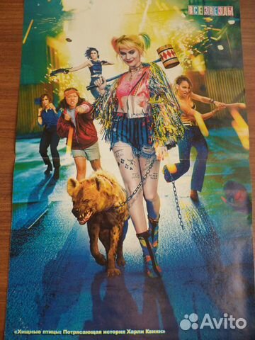 Плакат Хищные птицы