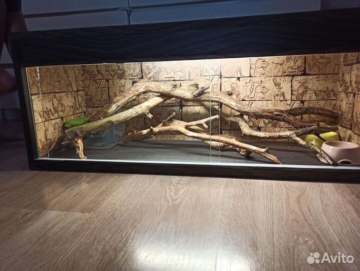 Террариум для рептилий