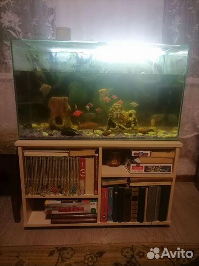 Аквариум