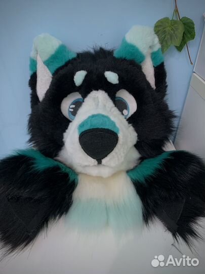 Фурсьют собаки