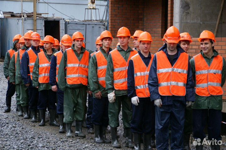 Разнорабочие (Пушкино)