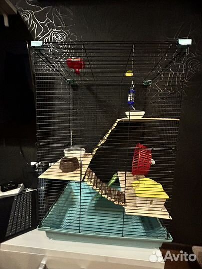 Клетка для шиншиллы бу