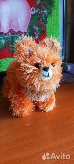 Вязаный шпиц