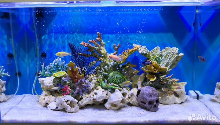 Аксессуары, комплектующие для аквариума