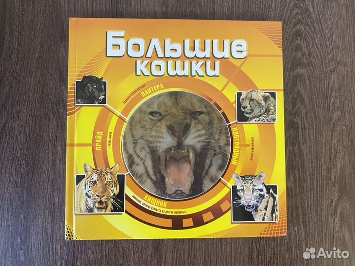 Книга для детей о животных