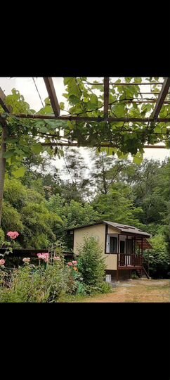 Комната 20 м² в 5-к., 1/3 эт.