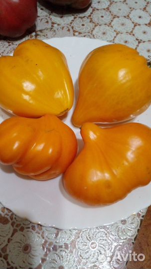 Коллекционные семена томатов