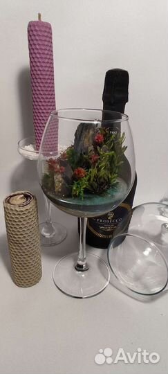 Флорариум Моссариум