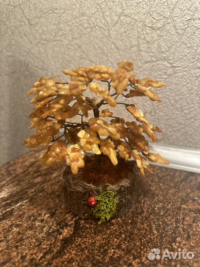 Янтарное дерево