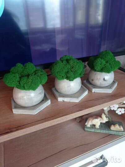 Кашпо на подставке мох изделие гипс