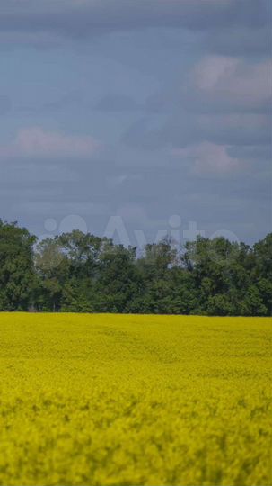 Участок 4,2 га (СНТ, ДНП)