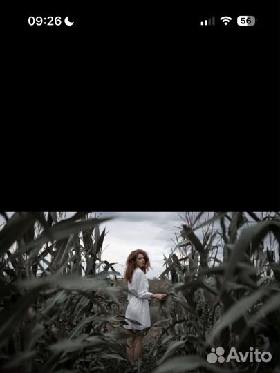 Пресеты Александр Куренной