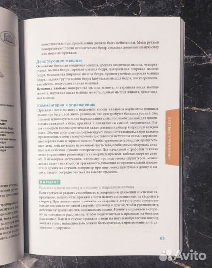 Анатомия плиометрики