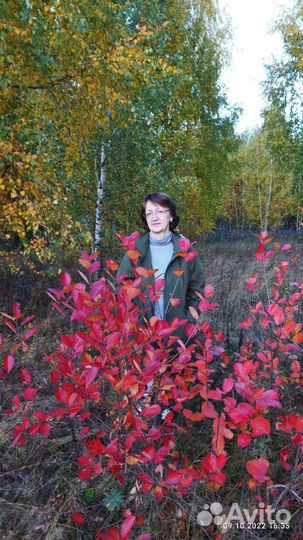 Бухгалтер удаленно