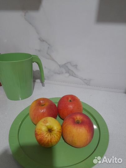 Яблоки домашние