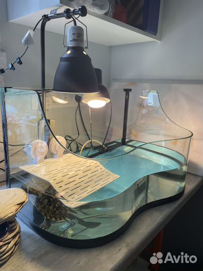 Террариум для красноухой черепахи