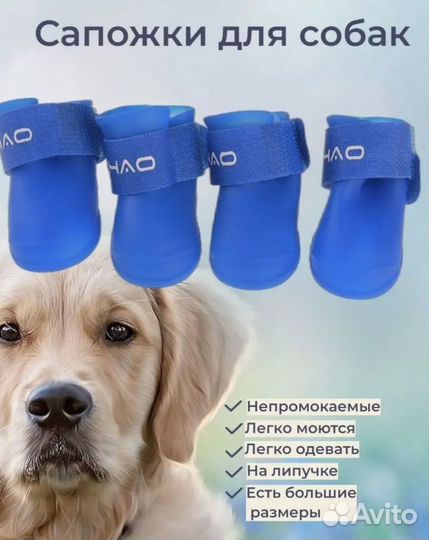 Сапожки для собак