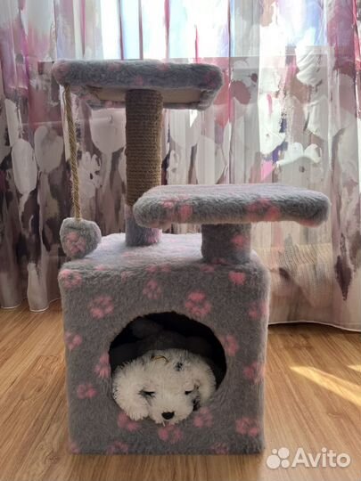 Домик для кошки с когтеточкой
