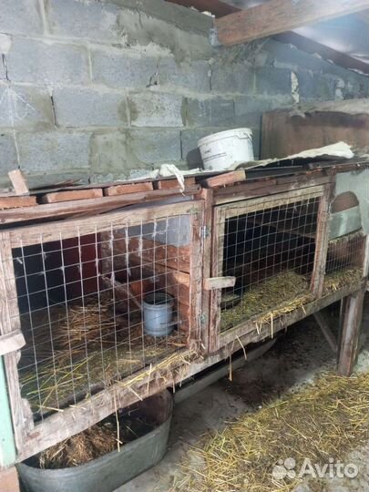 Клетка для кролика