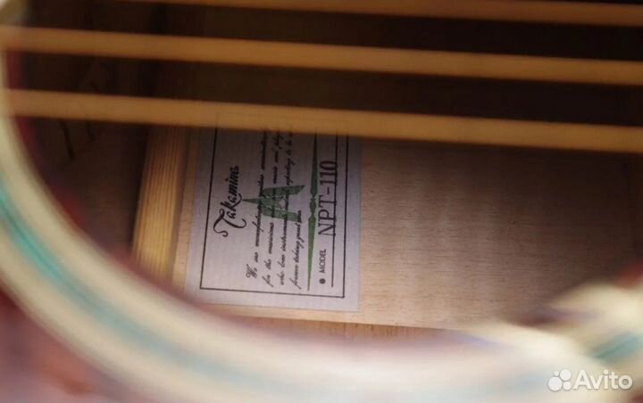 Электроакустика Takamine NPT-110. Japan. Кейс