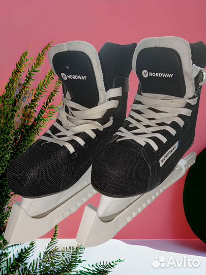 Коньки nordway