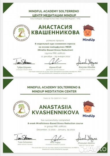 Обучаю медитации (Mindfulness)