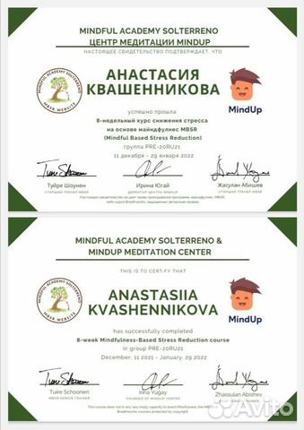 Обучаю медитации (Mindfulness)