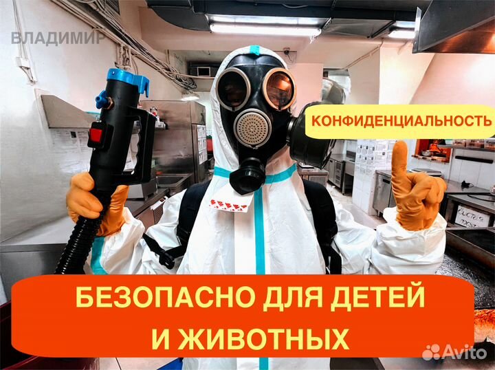 Уничтожение тараканов клопов дезинфекция