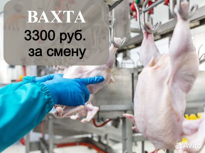 Обработчик птицы. Вахта г. Валуйки (все включено)