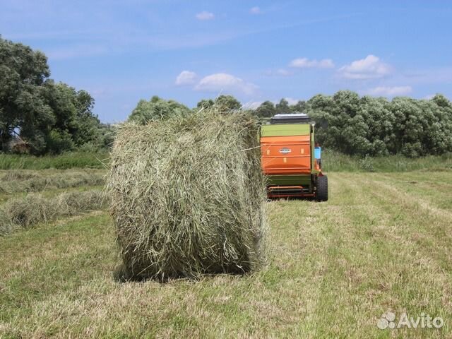 Сено в рулонах 350кг