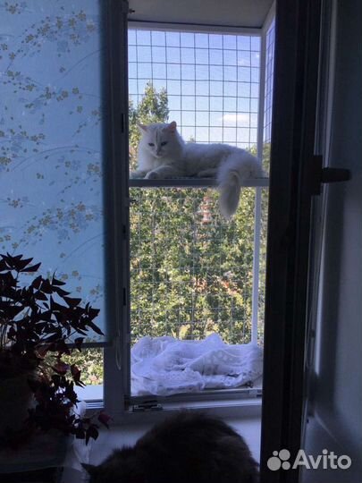 Вольеры-Балконы Сетка-Решётка Антикошка